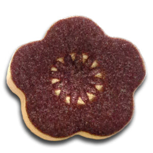 Spectrum 1407 Aubergine